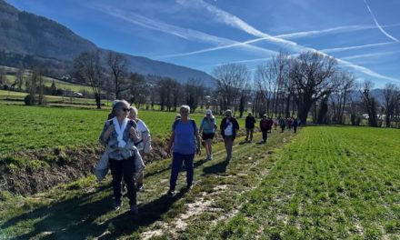 Sortie Randonnée 26-02-2026
