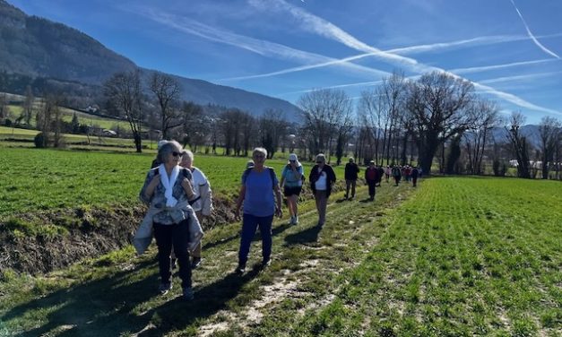 Sortie Randonnée 26-02-2026