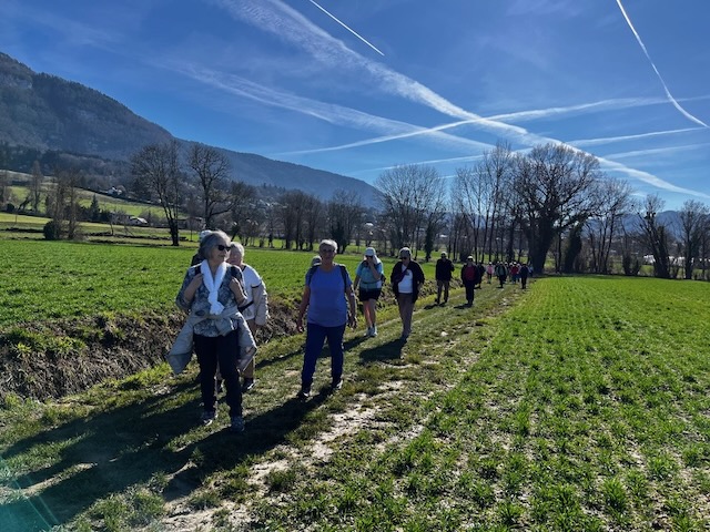 Sortie Randonnée 26-02-2026