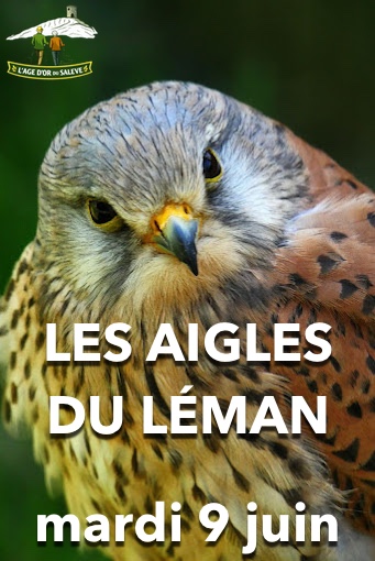 Les Aigles du Léman